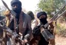Bandits now feed our babies to their dogs as my community witnesses over 200 attacks– Aminu Jaji, Zamfara  house of representatives member