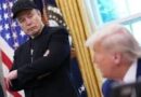 Without me Trump would have lost 2024 election , Elon Musk continues lambast of President Trump