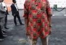 Rotimi Amaechi is a shameless & treacherous character for saying he is Igbo because of politics—-OHANAEZE