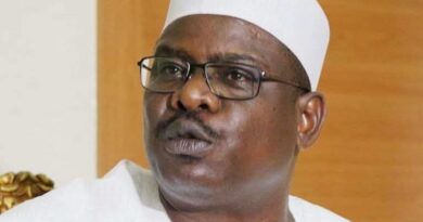 I pity Tinubu, 22 PDP governors endorsed Jonathan & yet he lost re-election—Senator Ndume