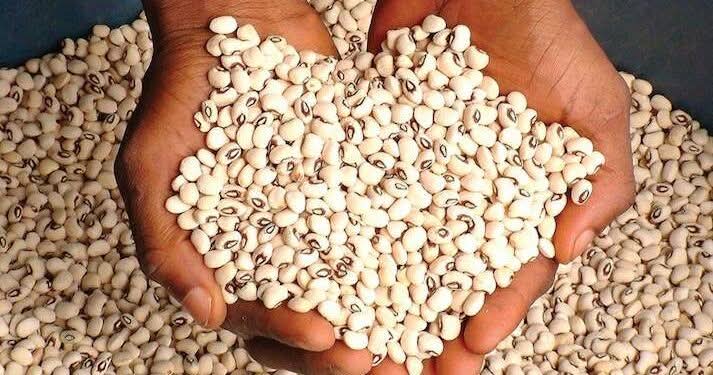 FB_IMG_1751237126594