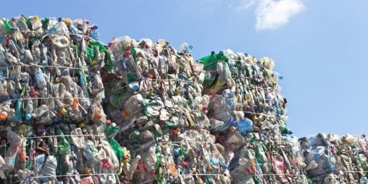 FB_IMG_1752266650543