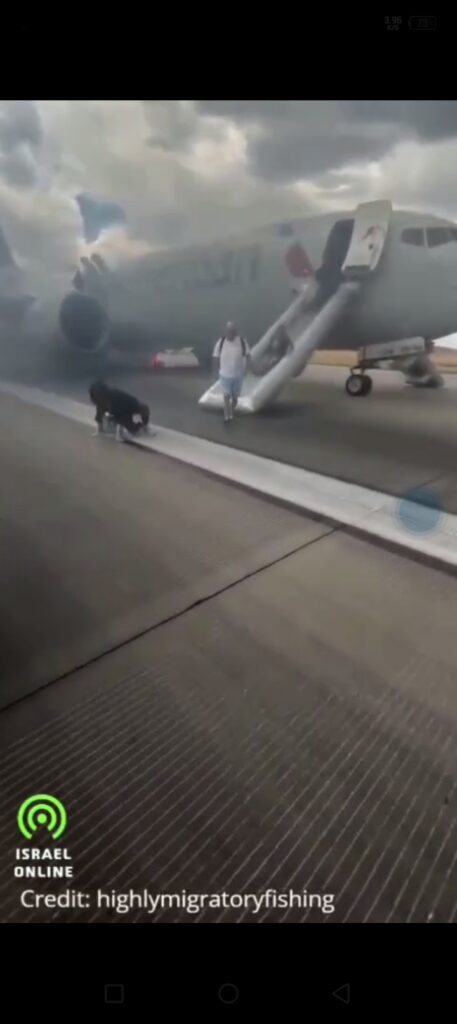 Screenshot_20250727-084903