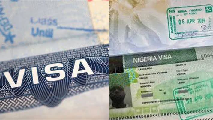 FB_IMG_1755642169391