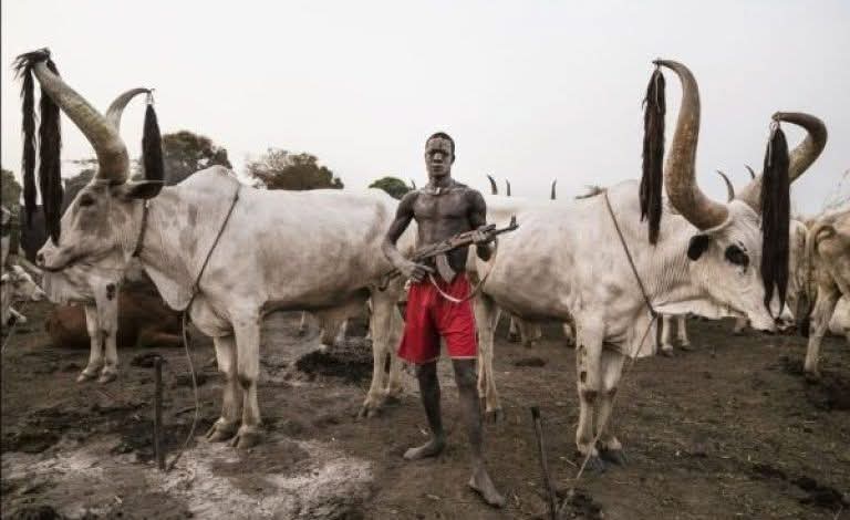 FB_IMG_1755894884922