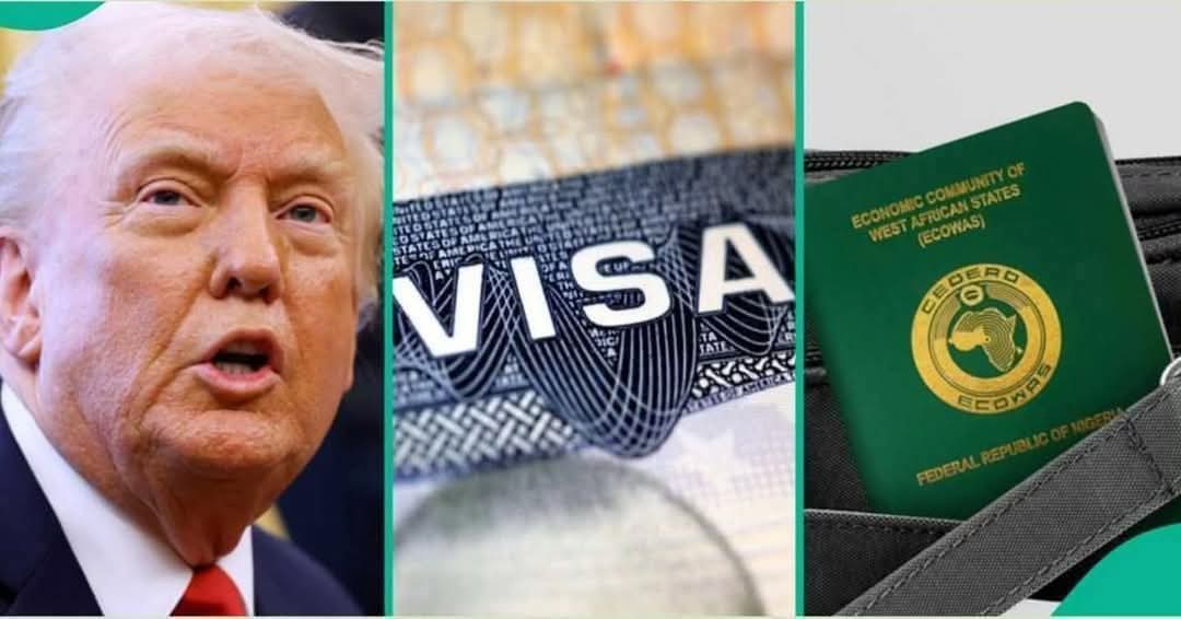 FB_IMG_1758395304913