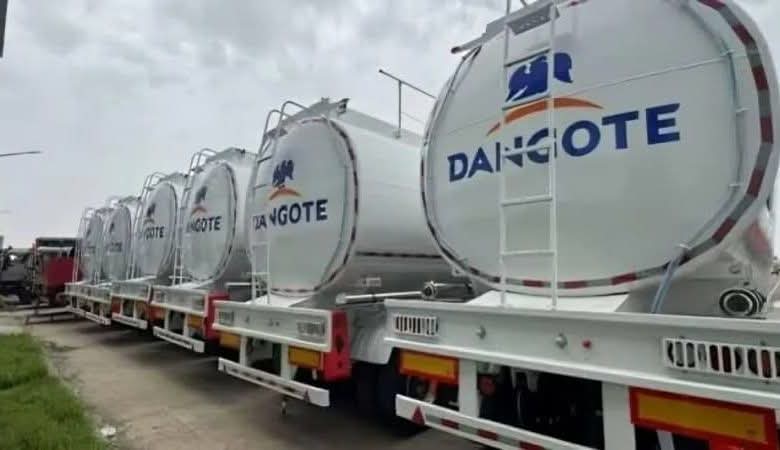 FB_IMG_1759012107226