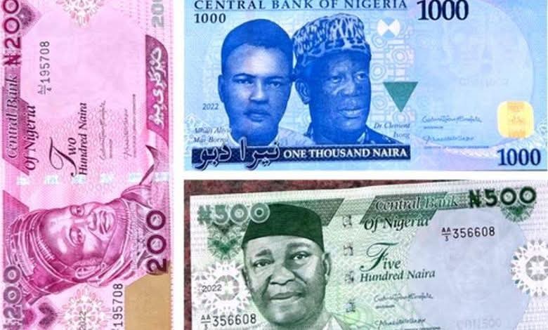 FB_IMG_1759151308450