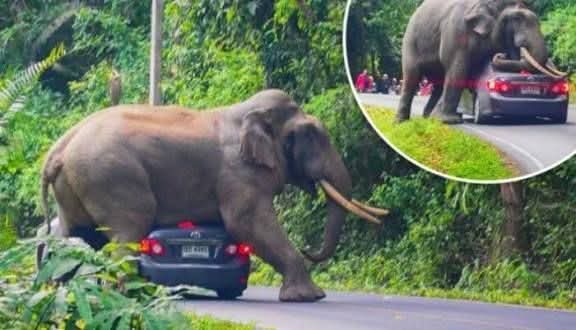 FB_IMG_1760399853464