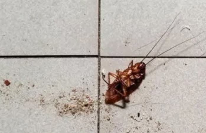 FB_IMG_1761100393435