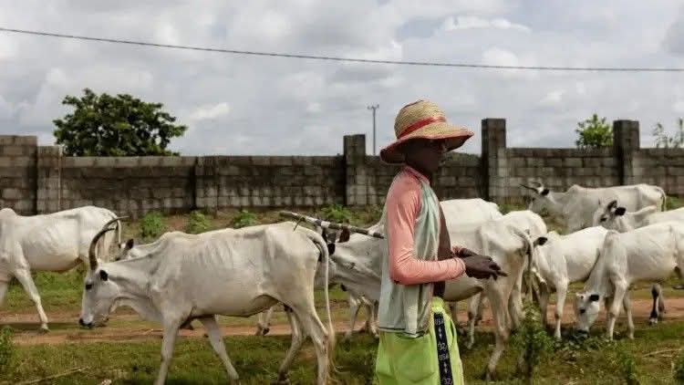 FB_IMG_1764110638463