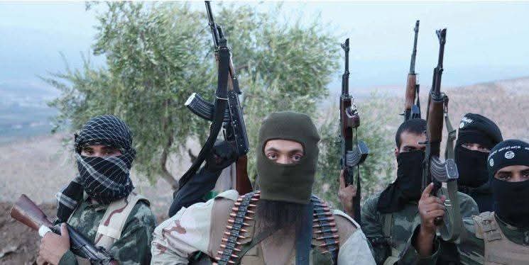 FB_IMG_1764535200021