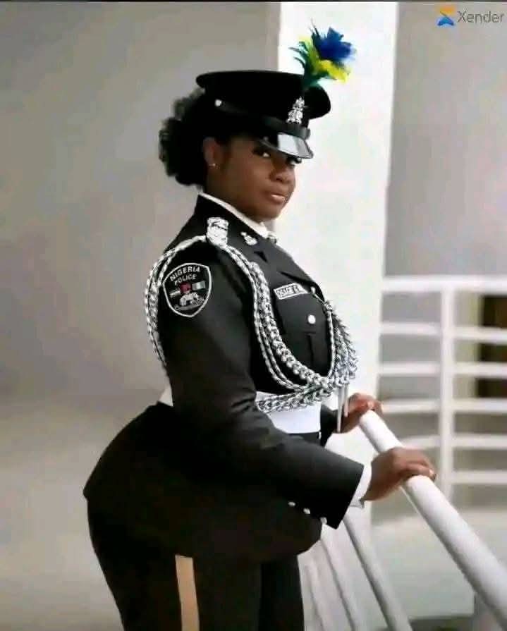 FB_IMG_1766442488952