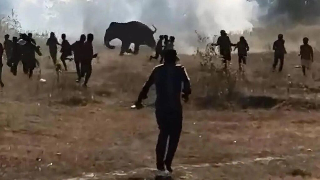 FB_IMG_1768859685496