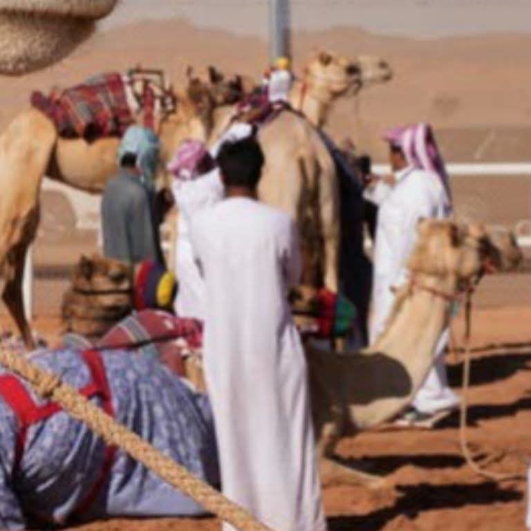 FB_IMG_1770557554918