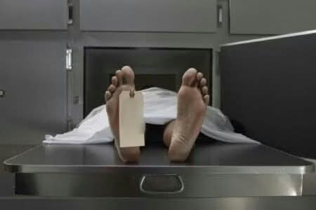 FB_IMG_1771371771528